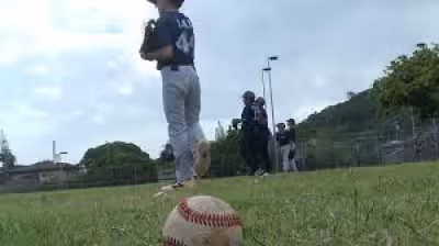 Khon2 News: City launches pilot to manage Oahu sports field permits