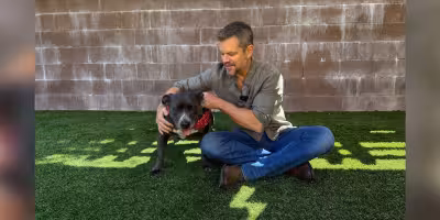 Matt Damon Visits Eastwood Ranch for Dodo Dream Date With Betsy