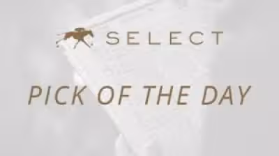 Jose Ortiz, Civil Liberty Highlight Keeneland's Woody Stephens June 6 Picks