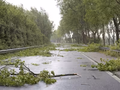 Naperville Weather: Centennial Beach closed after storm damage, more storms due