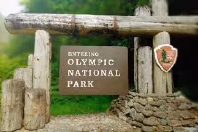 Forensic tests identify remains found in Olympic National Park as Joseph Louis Serrao Jr.