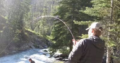 Idaho Fish And Game Targets About 420 Hatchery Chinook for South Fork Opener
