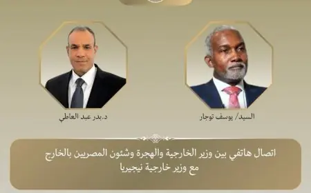 رفض مشترك من وزيري الخارجية المصري والنيجيري لاعتراف إسرائيل بأرض الصومال بشكل أحادي