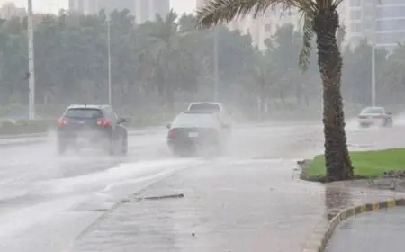 شبورة ورياح وأمطار في الأفق الأرصاد تحذر من تقلبات الطقس المزمعة غدا الأحد 28 ديسمبر 2025