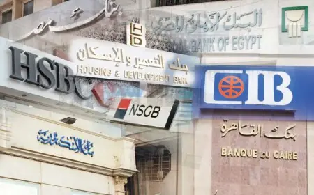 اجتماع حاسم للجنة الألكو غدًا الأحد لتحديد مصير الفائدة على الشهادات بعد قرار المركزي