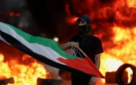 عرض فيلم كولومبي في سينما زاوية: كيف يتقاطع النضال الفلسطيني مع تجارب الشعوب الأخرى