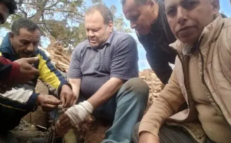 نجاح اصطياد تمساح الزوامل في مركز بلبيس يعلنه محافظ الشرقية