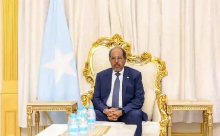رئيس الصومال يؤكد أهمية توحيد الشعب والعقول للدفاع عن وحدة البلاد