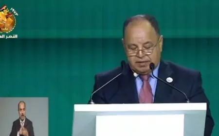 وزير المالية السابق يكشف سر خفض الدين ومن هم الرابحون من هذا القرار