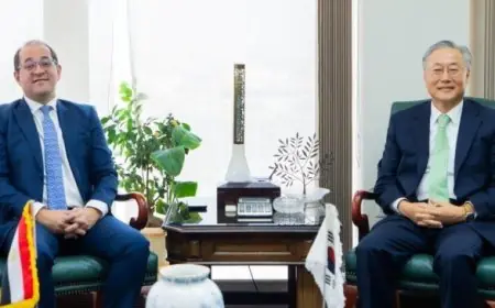 وزير المالية يؤكد: تنافسية مناخ الأعمال في مصر تزدهر مع تحفيز وتسهيلات جديدة للمستثمرين