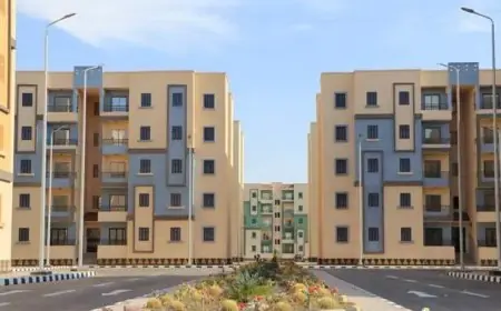 دليلك الشامل للاستعلام عن نتيجة سكن لكل المصريين 7