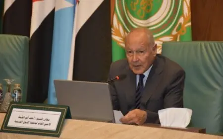 ابو الغيط يدين الاعتراف الإسرائيلي بإقليم صوماليلاند معتبرًا إياه خطوة استفزازية مرفوضة