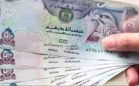 تعرف على سعر الدرهم الإماراتي اليوم الجمعة 26 ديسمبر 2025 بعد قرار البنك المركزي