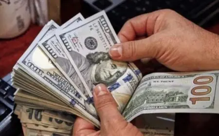 تعرف على سعر الدولار مقابل الجنيه المصري اليوم الجمعة 26 ديسمبر 2025 بعد خفض الفائدة