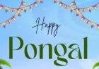 Tamil Pongal 2026 Wishes: 102+ Images, Quotes, and Greetings for WhatsApp