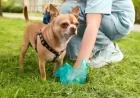Scientists Discover Alarming Findings in Pet Waste
