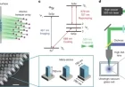 Single Atom Trapping Achieved in Metasurface Optical Tweezer Arrays