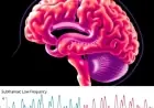 Subthalamic Low-Frequency Signals Expose Parkinson’s Neuropsychiatric Conditions