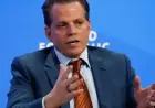 Scaramucci Discusses Trump’s Plan to Cap Credit Card Fees with Mayor Mamdani
