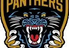 Panthers Clash with Torpedo in Gold Medal Game