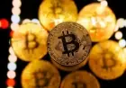 Crypto Surge: Bitcoin Hits 2-Month High—Discover the Reasons
