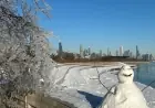 Chicago Weather Turns Dangerous: Windy Deep Freeze, Light Snow, and Sub-Zero Nights Grip the City This Week