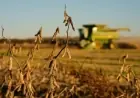 China Hits Soybean Purchase Target; Trump’s Trade Shifts Threaten Deal