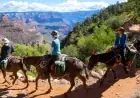 National Parks USA in 2026: What’s Changing, What’s New, and How to Plan a Smoother Trip