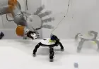 Robotic Hand Detaches to Efficiently Collect Objects