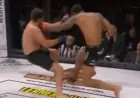 UFC Staffer Quickly KO’s Power Slap Veteran in 4 Seconds