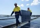 Labor’s “Free Power” Plan Caps Daily Solar to Prevent Abuse by EV, Home Users