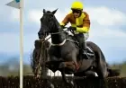 2026 Cheltenham Gold Cup: Discover This Year’s Horse Entries