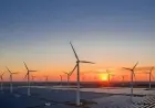 Australia Reaches Global Heights in Renewable Energy, Rivals Denmark