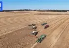 WA Grain Harvest Poised to Shatter Record with 27 Million Tonnes