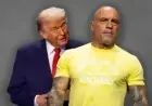 Joe Rogan Severs Ties with Donald Trump