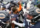 Bears Thrive in Remarkable Season, Eager for Greater Success