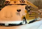 Massive Snowstorm Shuts Schools, Cancels Buses Across GTHA