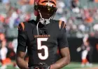 Bengals Revel in Unique Offseason Advantage Over Rival Teams