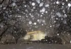 Major Winter Storm Strikes D.C. Region: Essential Details