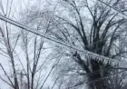 Major Winter Storm Triggers Widespread Power Outages on US East Coast
