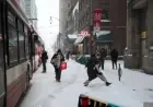 Massive Snowfall to Disrupt Toronto Transit and Transportation