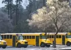 Wake Schools Stay Remote Tuesday Amid Triangle Closures and Delays