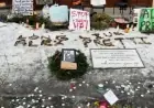 Trump Administration Admits Deception About Minneapolis Shooting and Alex Pretti