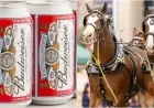 Budweiser Unveils Incredible Super Bowl Ad: Watch Now