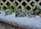 Georgia’s Ice and Sleet Totals: Comprehensive Statewide Report