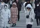 Seoul Faces Cold Wave Warning: Temperatures to Plunge to -10°C by Weekend