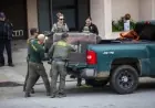 Tranquilized Mountain Lion Captured in San Francisco for Safe Relocation