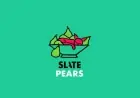 Game 166: Slate Pears Clash on January 29, 2026