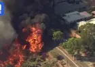 Fast-Moving Bushfire Engulfs Perth Suburban Backyards in Chaotic Scene