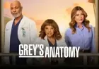 “Grey’s Anatomy Halts Production Friday Due to National Shutdown”